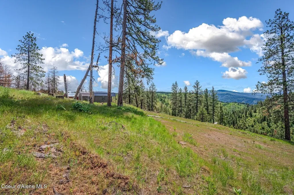 17 Acres Highway 3 St. Maries ID 83861