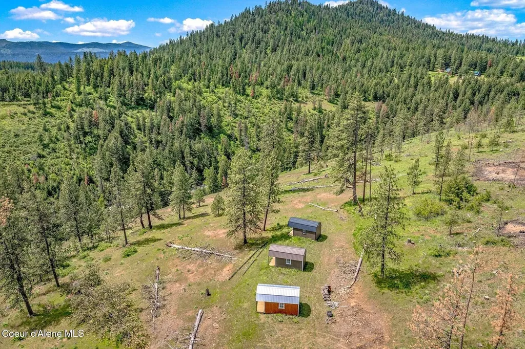 17 Acres Highway 3 St. Maries ID 83861