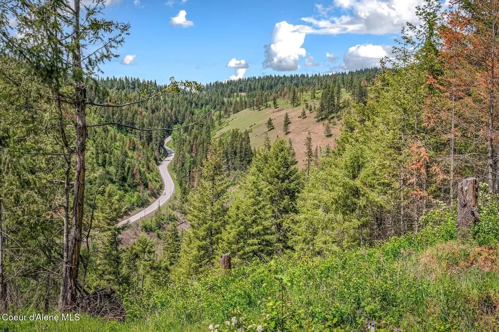 17 Acres Highway 3 St. Maries ID 83861