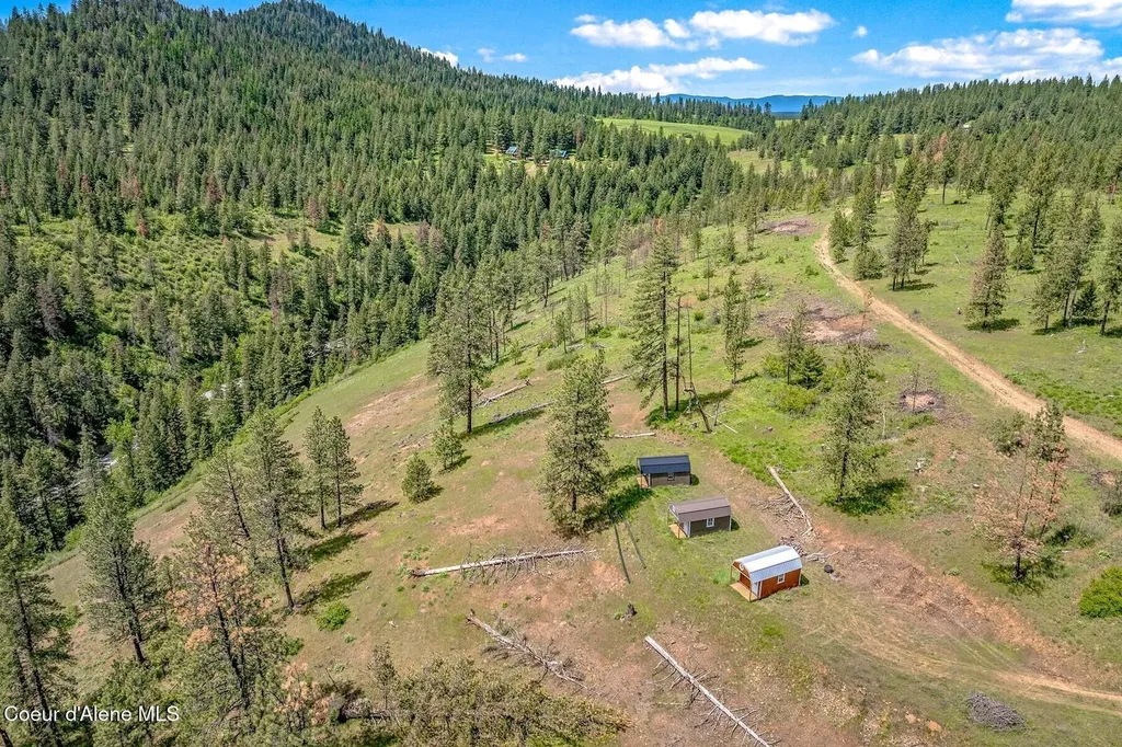 17 Acres Highway 3 St. Maries ID 83861