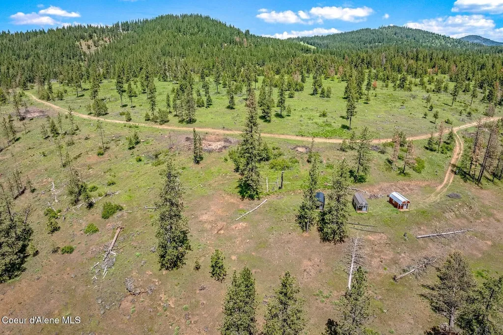 17 Acres Highway 3 St. Maries ID 83861