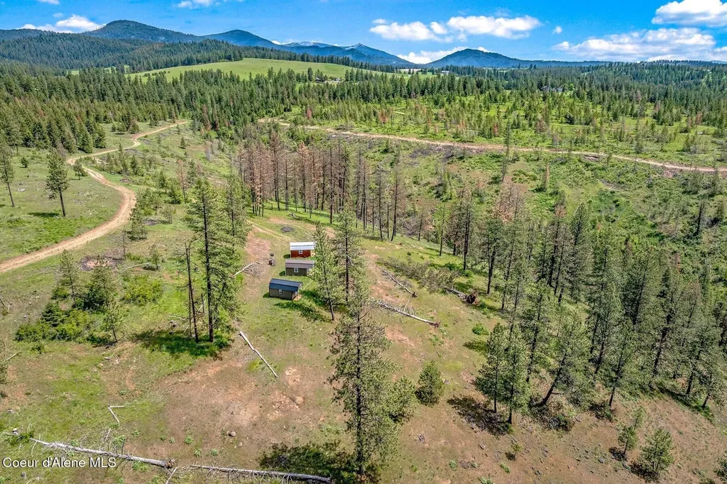 17 Acres Highway 3 St. Maries ID 83861