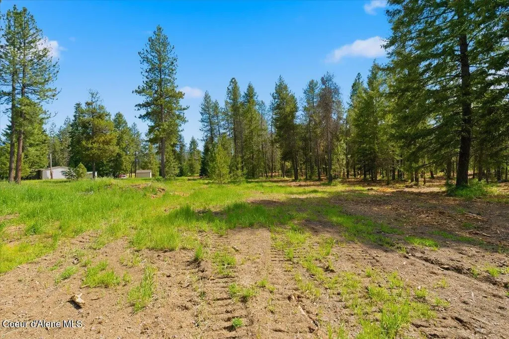 Nka 10-ac E Parks Road Athol ID 83801