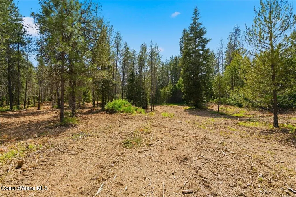 Nka 10-ac E Parks Road Athol ID 83801