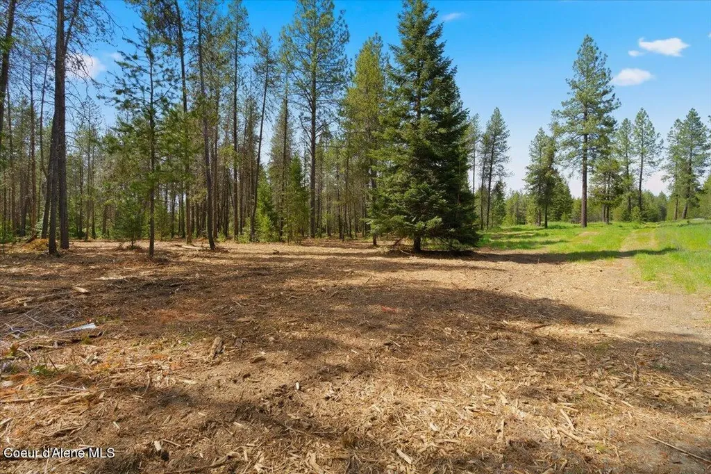 Nka 10-ac E Parks Road Athol ID 83801