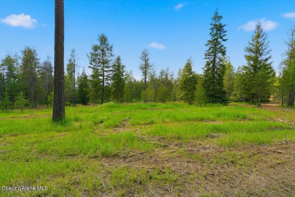 Nka 10-ac E Parks Road Athol ID 83801