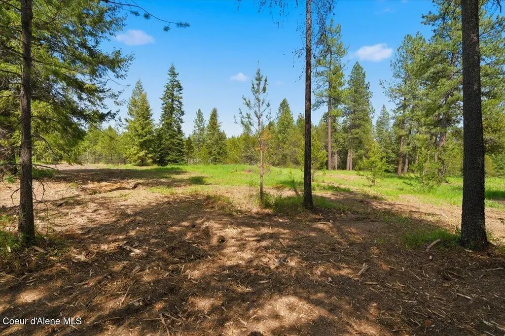 Nka 10-ac E Parks Road Athol ID 83801