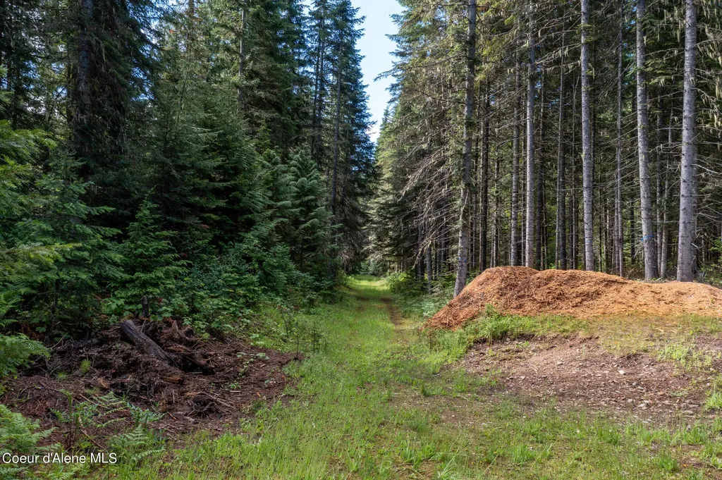 Nna Beaver Creek Road Wallace ID 83873