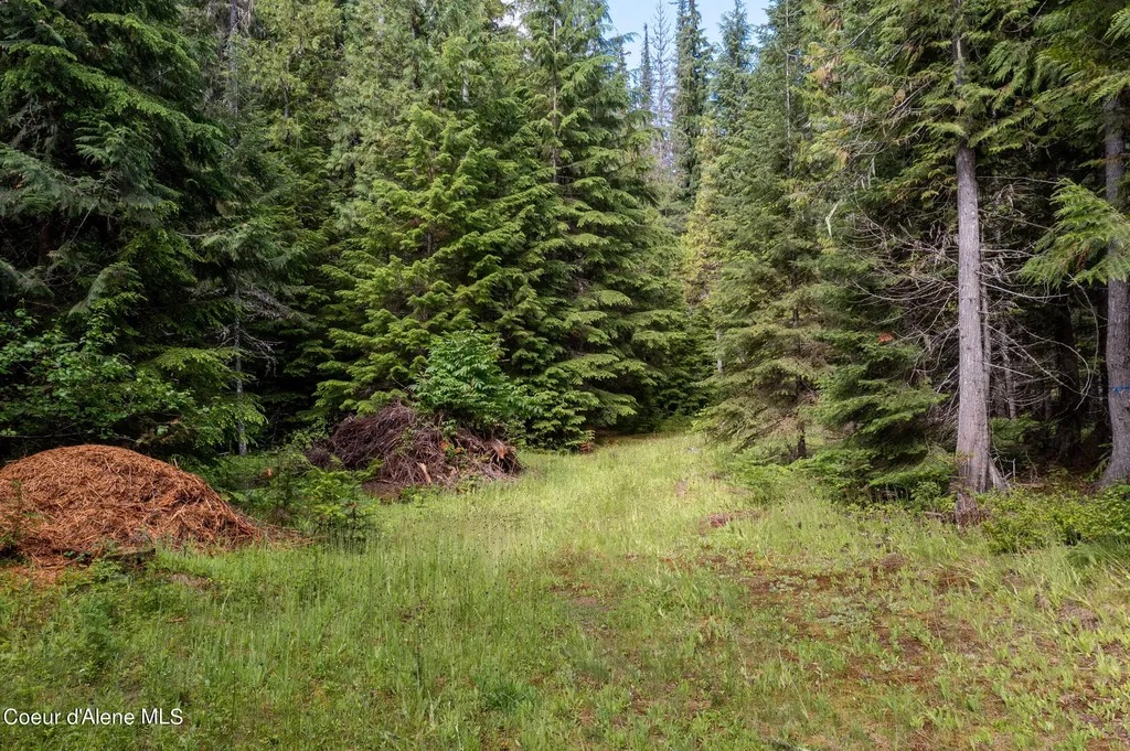 Nna Beaver Creek Road Wallace ID 83873