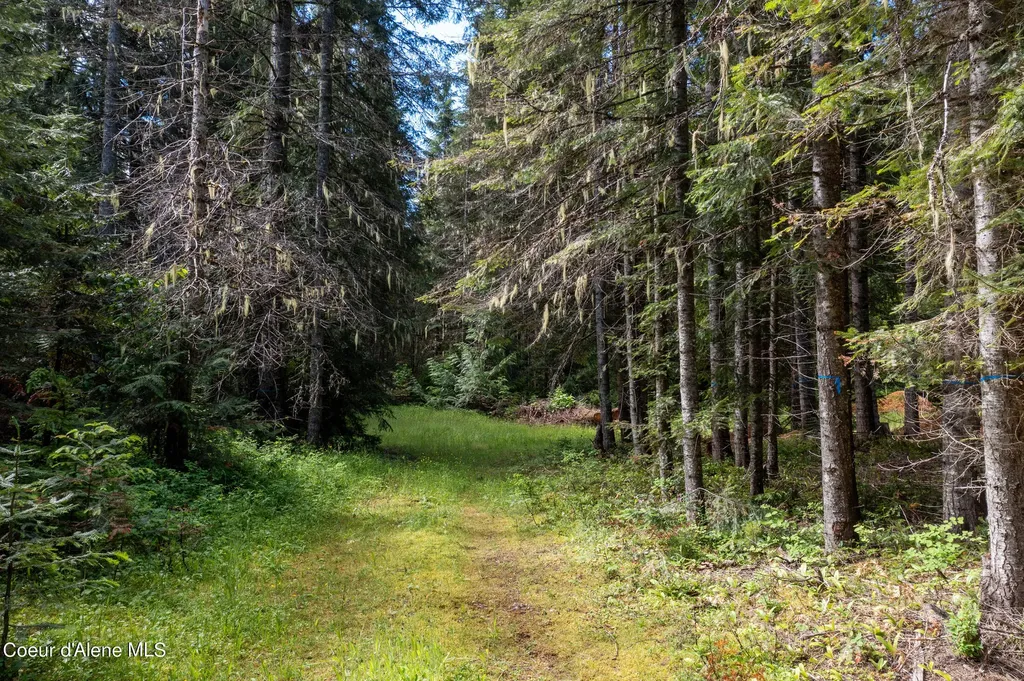 Nna Beaver Creek Road Wallace ID 83873