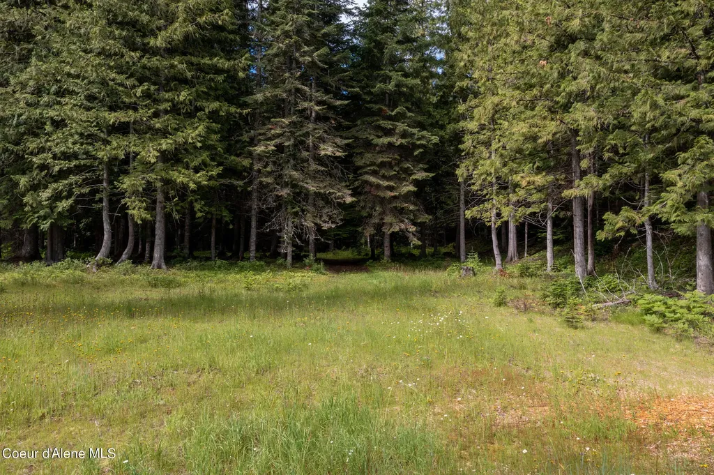 Nna Beaver Creek Road Wallace ID 83873