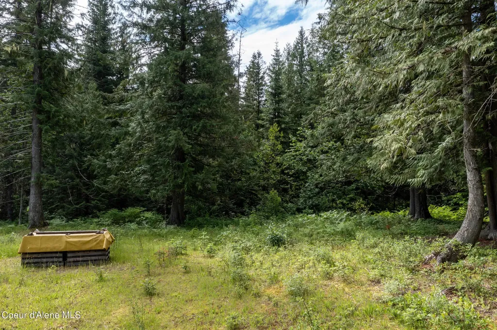 Nna Beaver Creek Road Wallace ID 83873