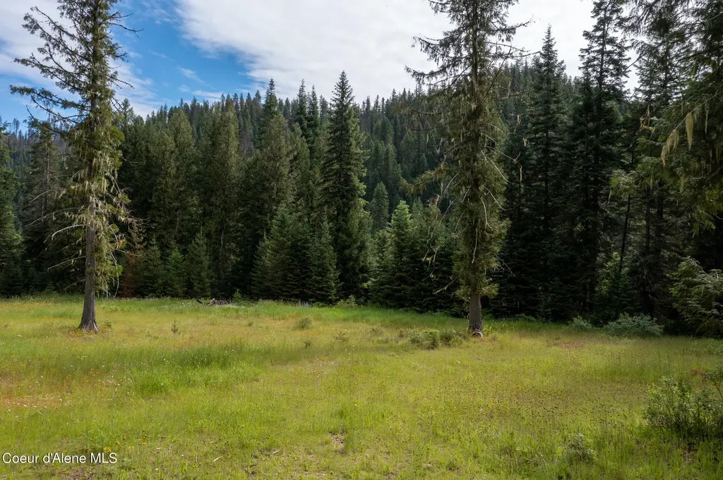 Nna Beaver Creek Road Wallace ID 83873