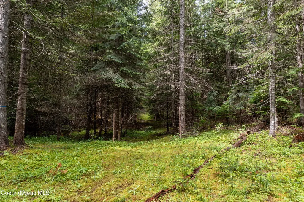 Nna Beaver Creek Road Wallace ID 83873