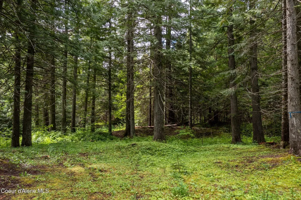 Nna Beaver Creek Road Wallace ID 83873