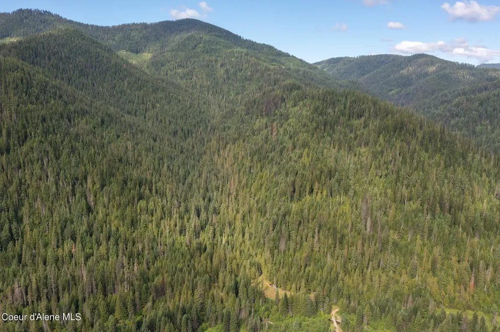 Nna Beaver Creek Road Wallace ID 83873