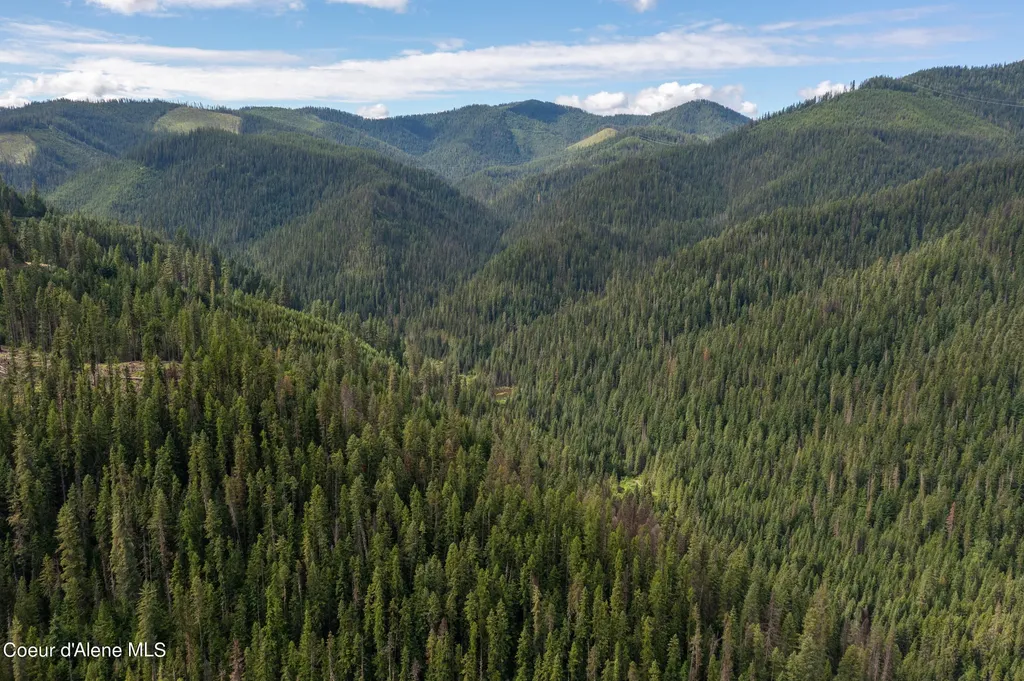 Nna Beaver Creek Road Wallace ID 83873