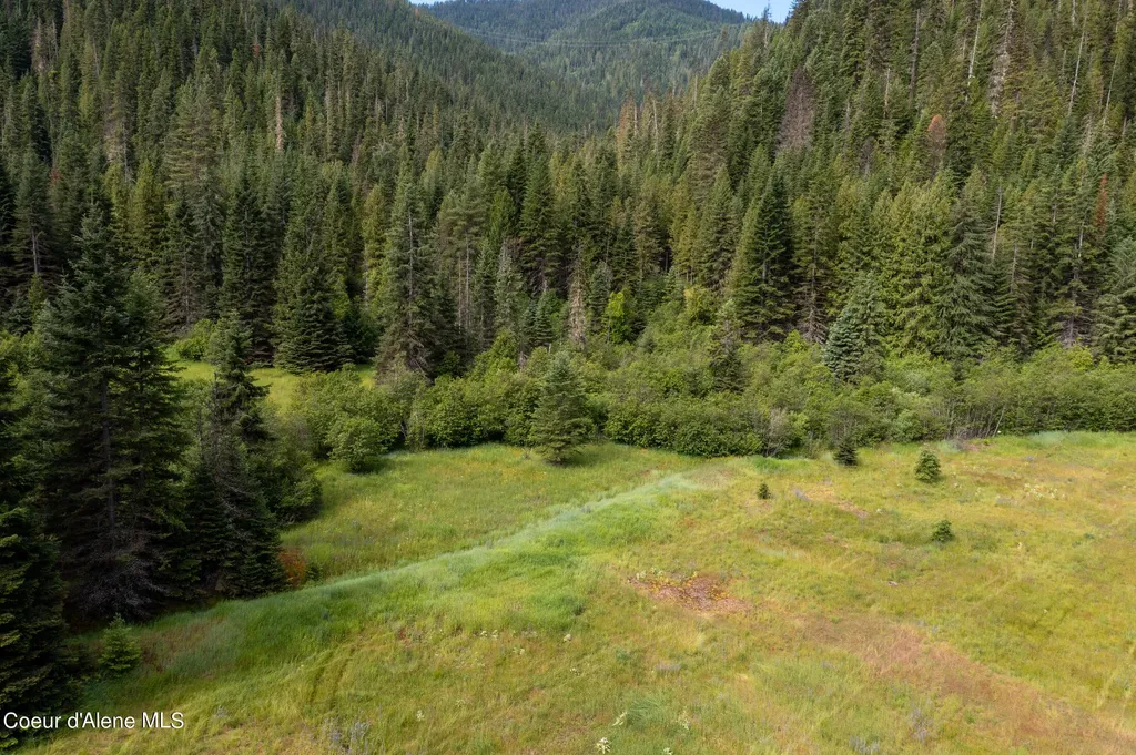 Nna Beaver Creek Road Wallace ID 83873
