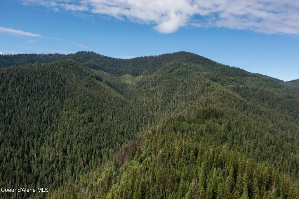 Nna Beaver Creek Road Wallace ID 83873