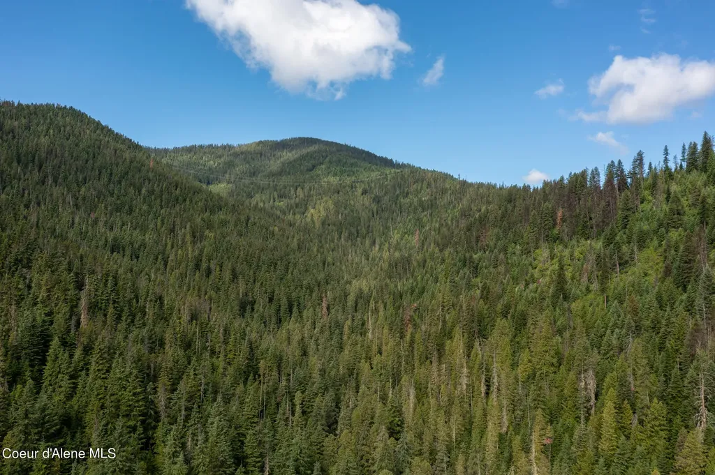 Nna Beaver Creek Road Wallace ID 83873