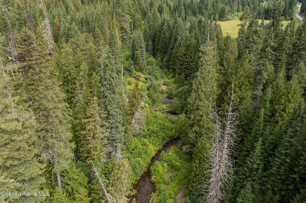 Nna Beaver Creek Road Wallace ID 83873