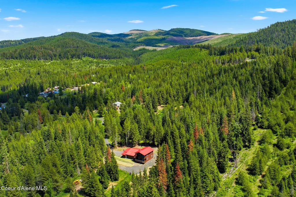 112 Lockout Lane Fernwood ID 83830