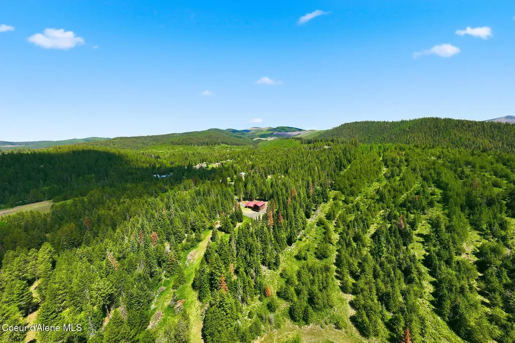 112 Lockout Lane Fernwood ID 83830