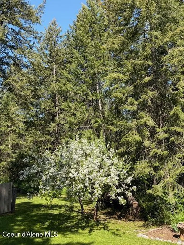 1639 W Hillsdale Road Athol ID 83801