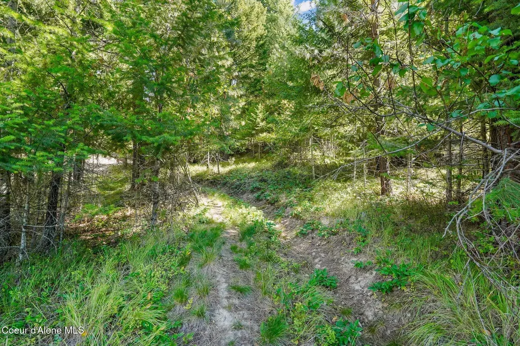 273 Paradise Valley Road Bonners Ferry ID 83805