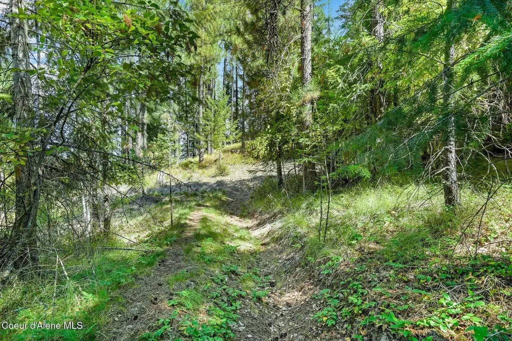 273 Paradise Valley Road Bonners Ferry ID 83805