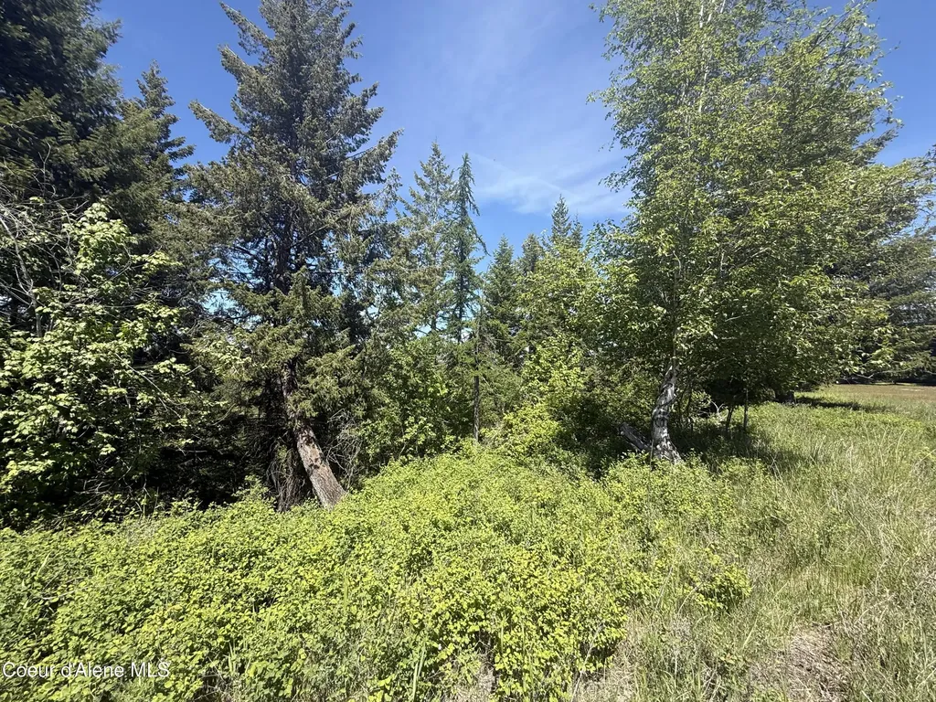 Nka Elderberry Road Bonners Ferry ID 83805