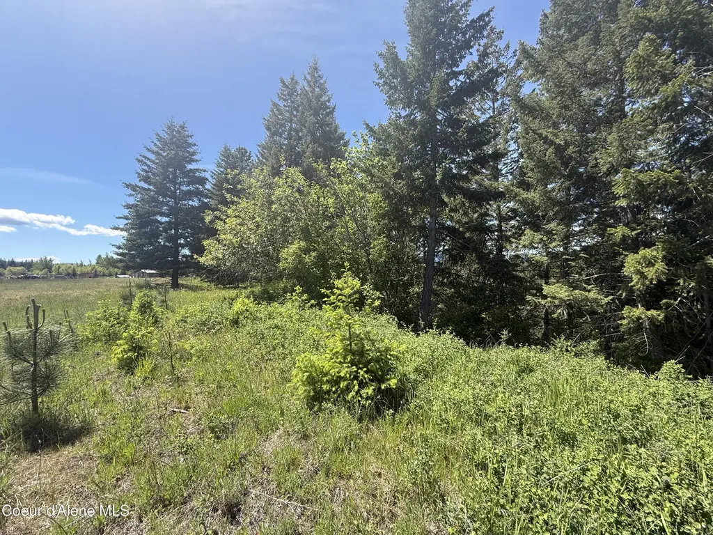 Nka Elderberry Road Bonners Ferry ID 83805