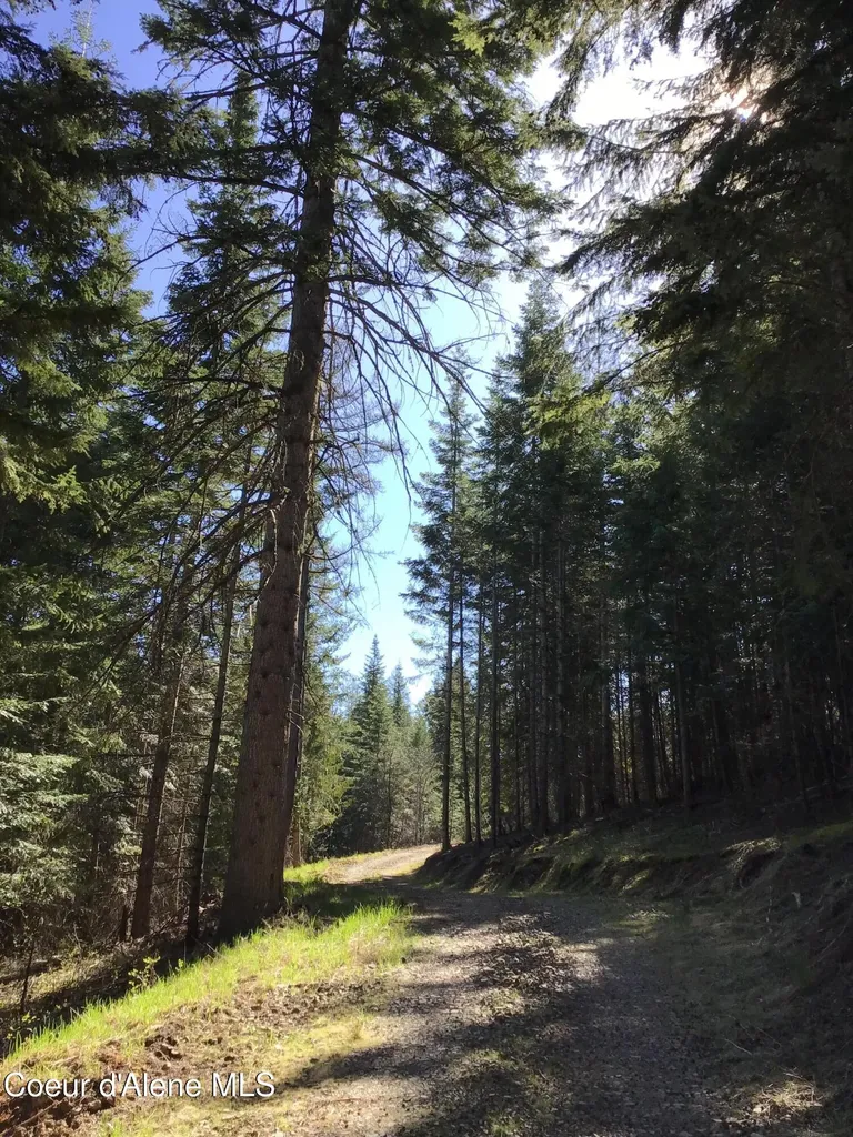 Highway 97 Harrison ID 83833