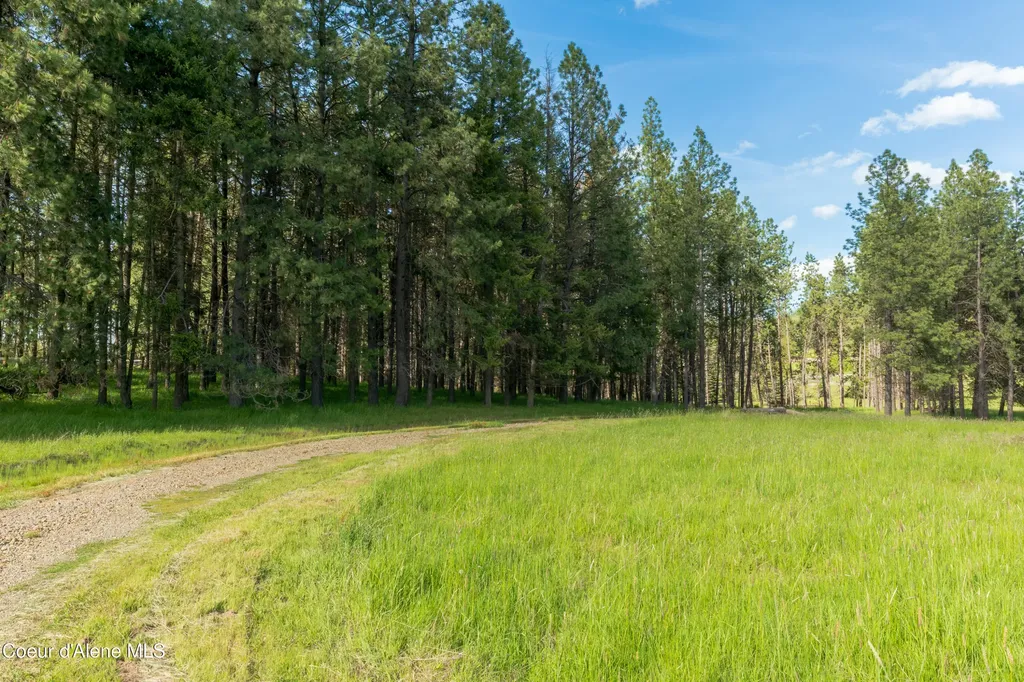Highway 97 Harrison ID 83833