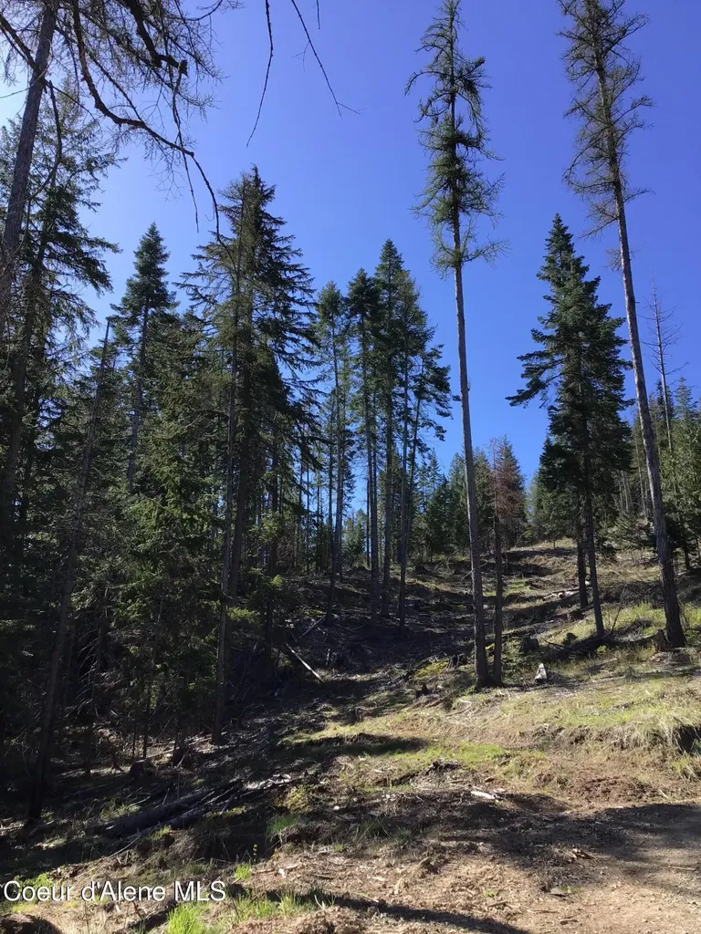 Highway 97 Harrison ID 83833