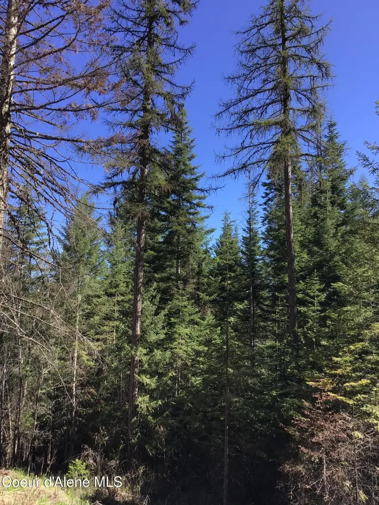 Highway 97 Harrison ID 83833
