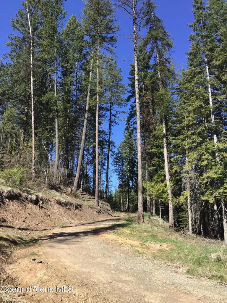Highway 97 Harrison ID 83833