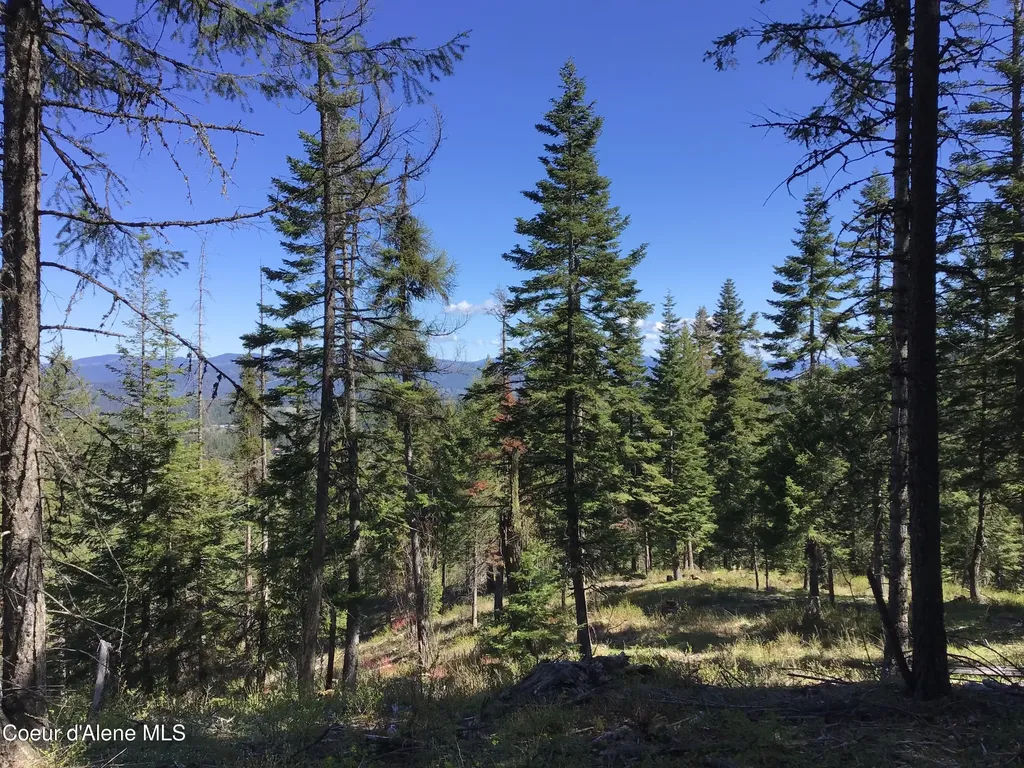 Highway 97 Harrison ID 83833