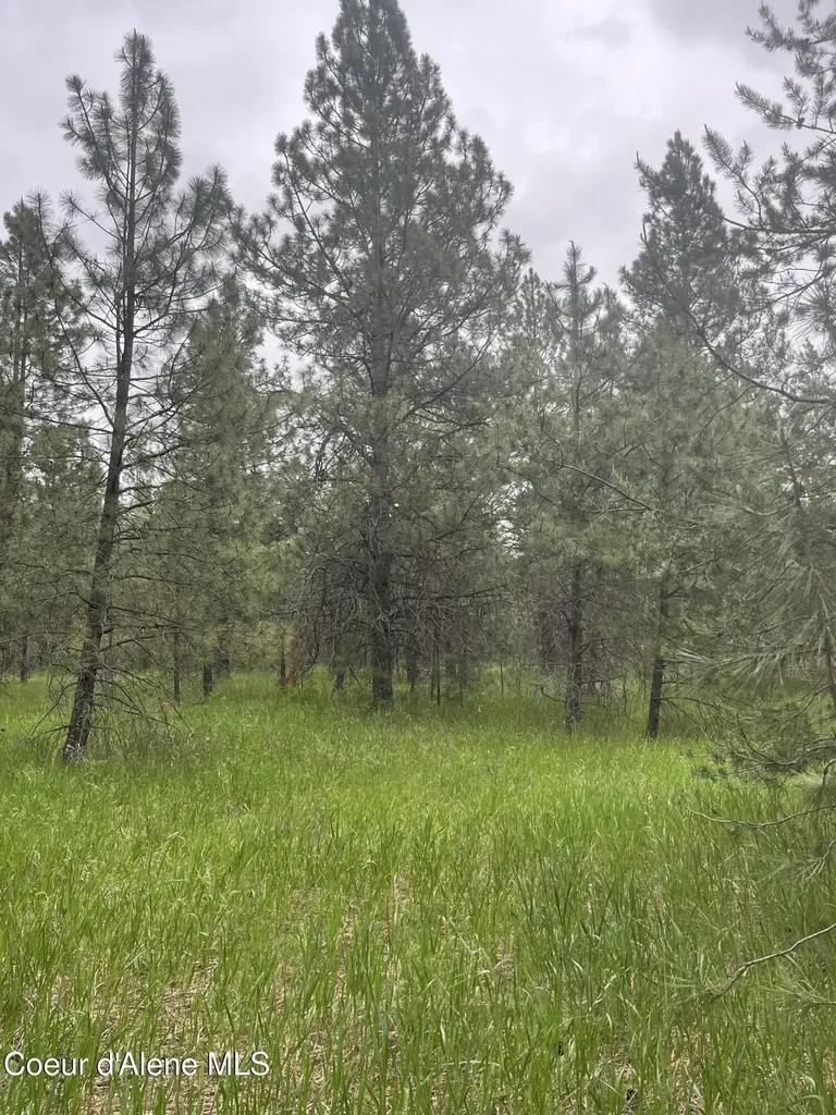 Nna N Sheep Springs Road Athol ID 83801