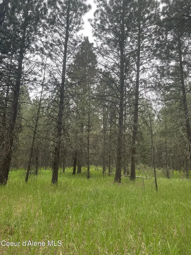 Nna N Sheep Springs Road Athol ID 83801