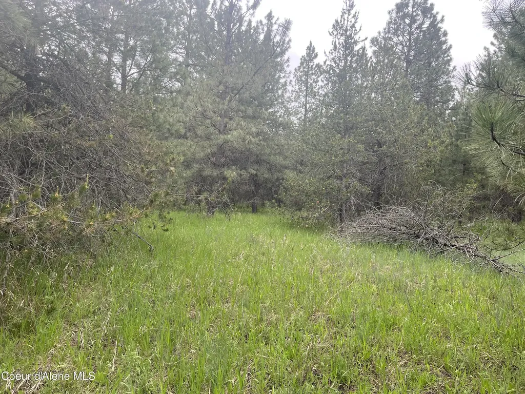 Nna N Sheep Springs Road Athol ID 83801