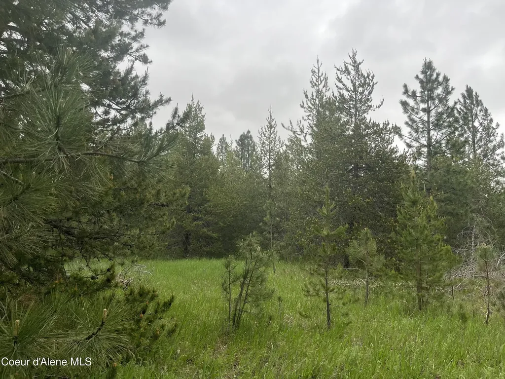 Nna N Sheep Springs Road Athol ID 83801