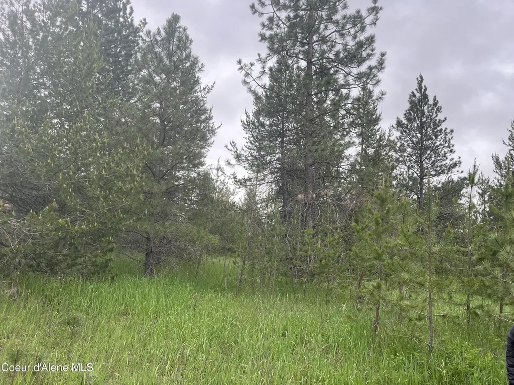 Nna N Sheep Springs Road Athol ID 83801