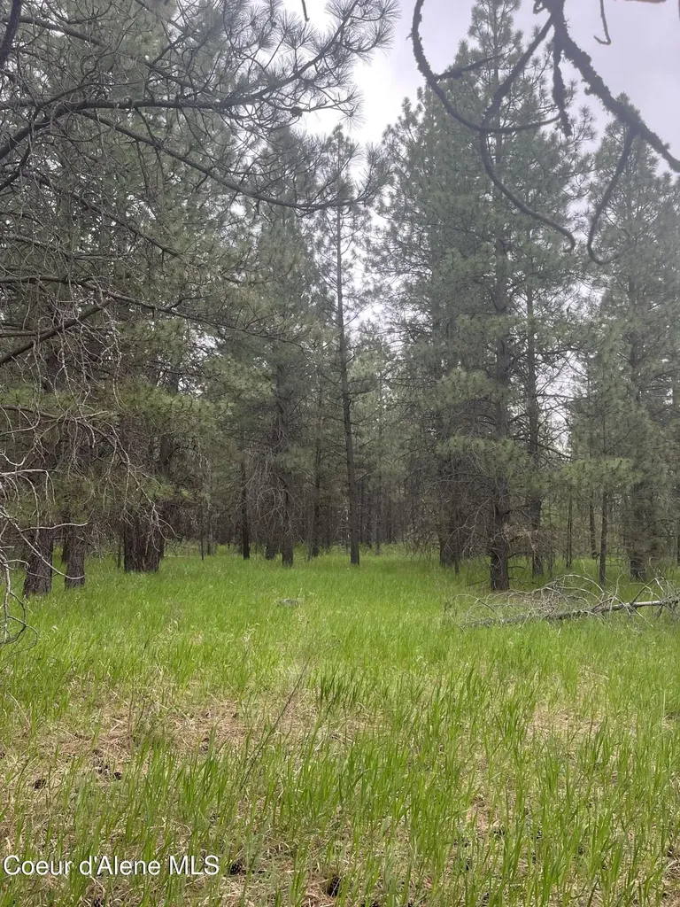 Nna N Sheep Springs Road Athol ID 83801