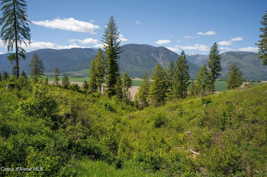 Nna This Way Road Lot 3 (20 Acres) Bonners Ferry ID 83805