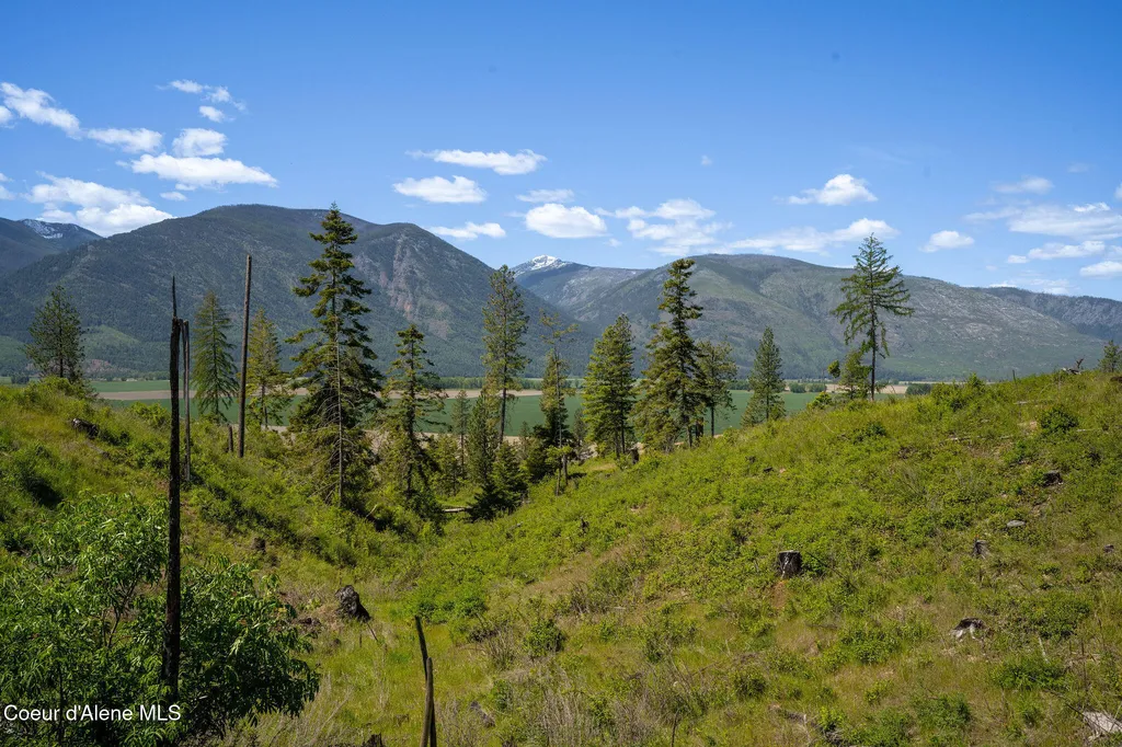 Nna This Way Road Lot 3 (20 Acres) Bonners Ferry ID 83805