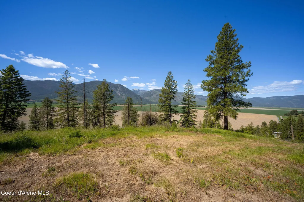 Nna This Way Road Lot 3 (20 Acres) Bonners Ferry ID 83805