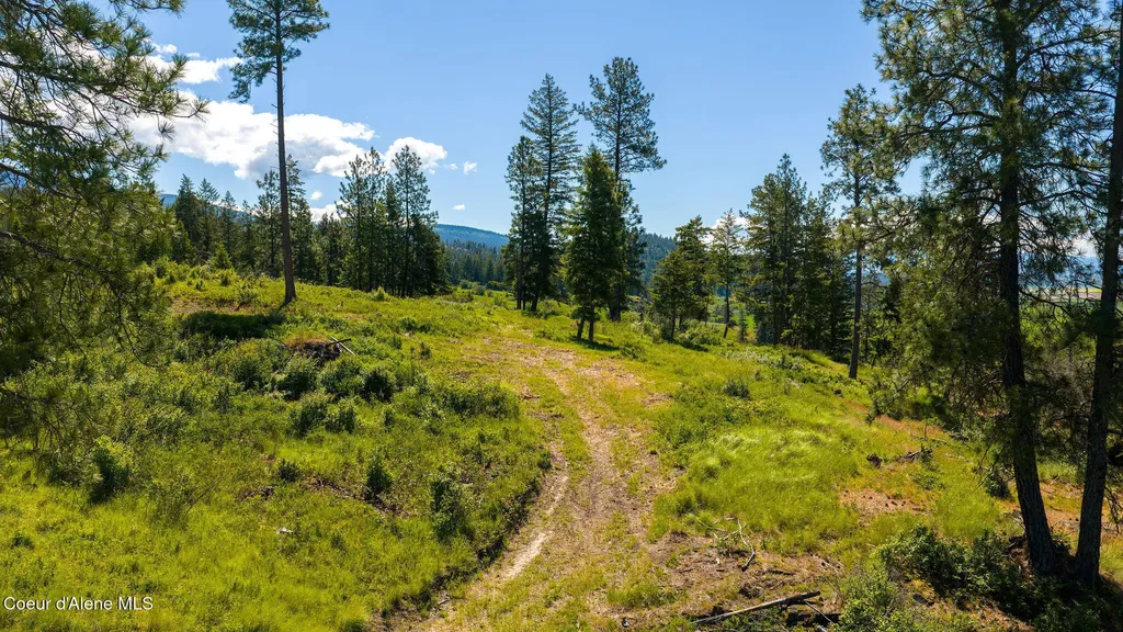 Nna This Way Bonners Ferry ID 83805