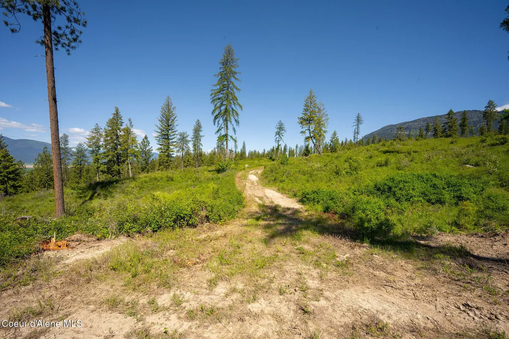Nna This Way Road Lot 3 (20 Acres) Bonners Ferry ID 83805