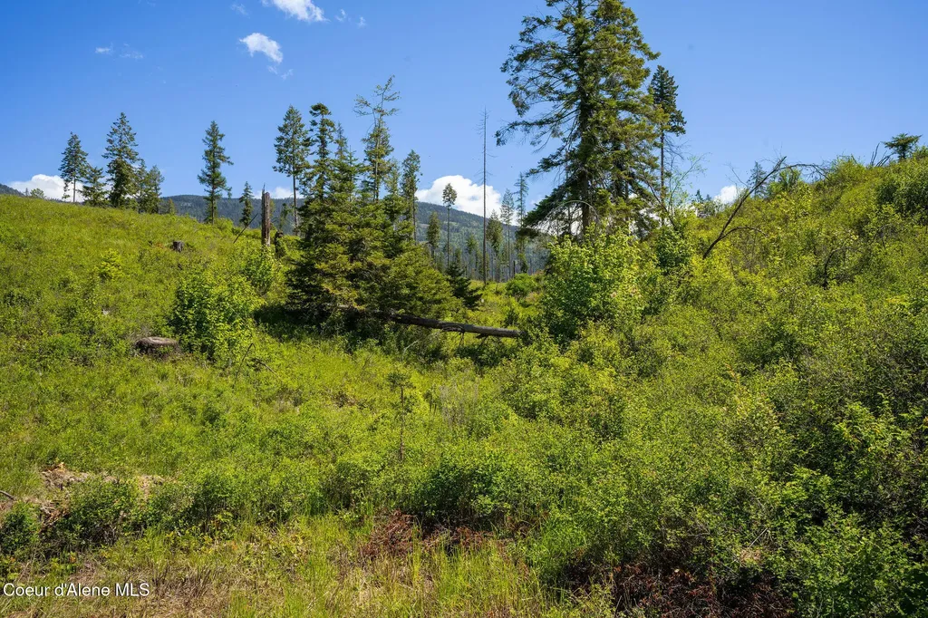 Nna This Way Bonners Ferry ID 83805